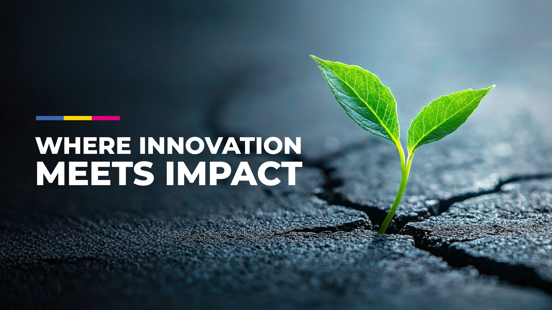 Where Innovation Meets Impact